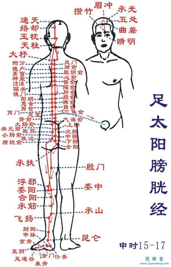 如何利用足太阳膀胱经“生命香蕉国产精品”提精神，增加健康指数